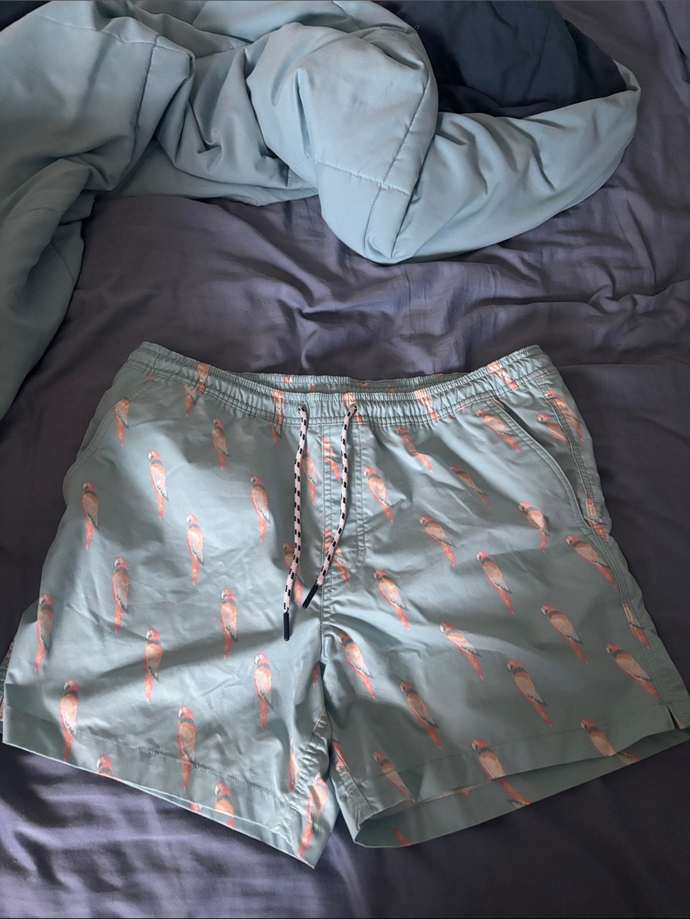 American Eagle Outfitters Light Blue Swim Trunks with Pink Parrot Print